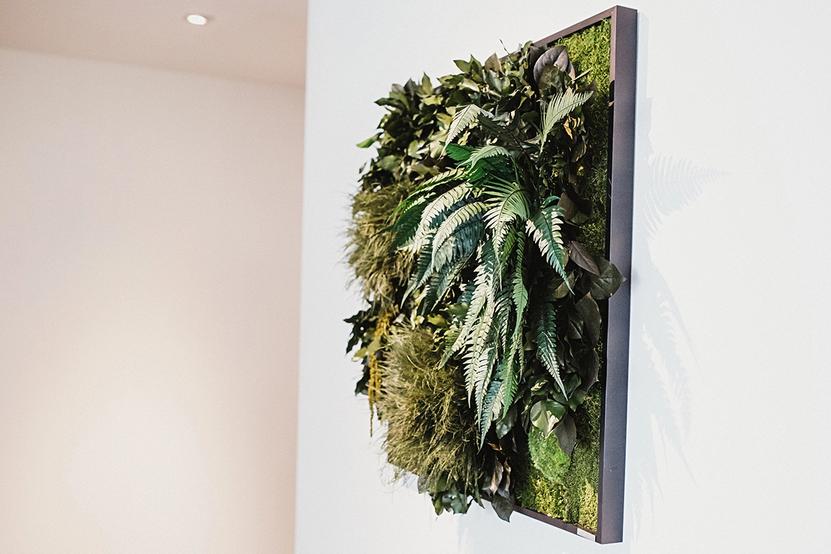 Dämmrich Hairdesign Bilder